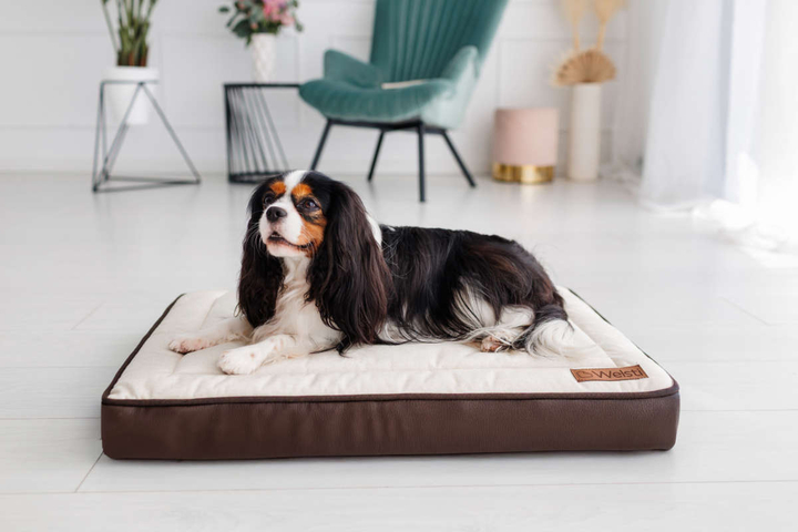 Legowisko materac dla psa Welsti ciemny szary srebrne kości i łapki M 70x50 antypoślizgowy